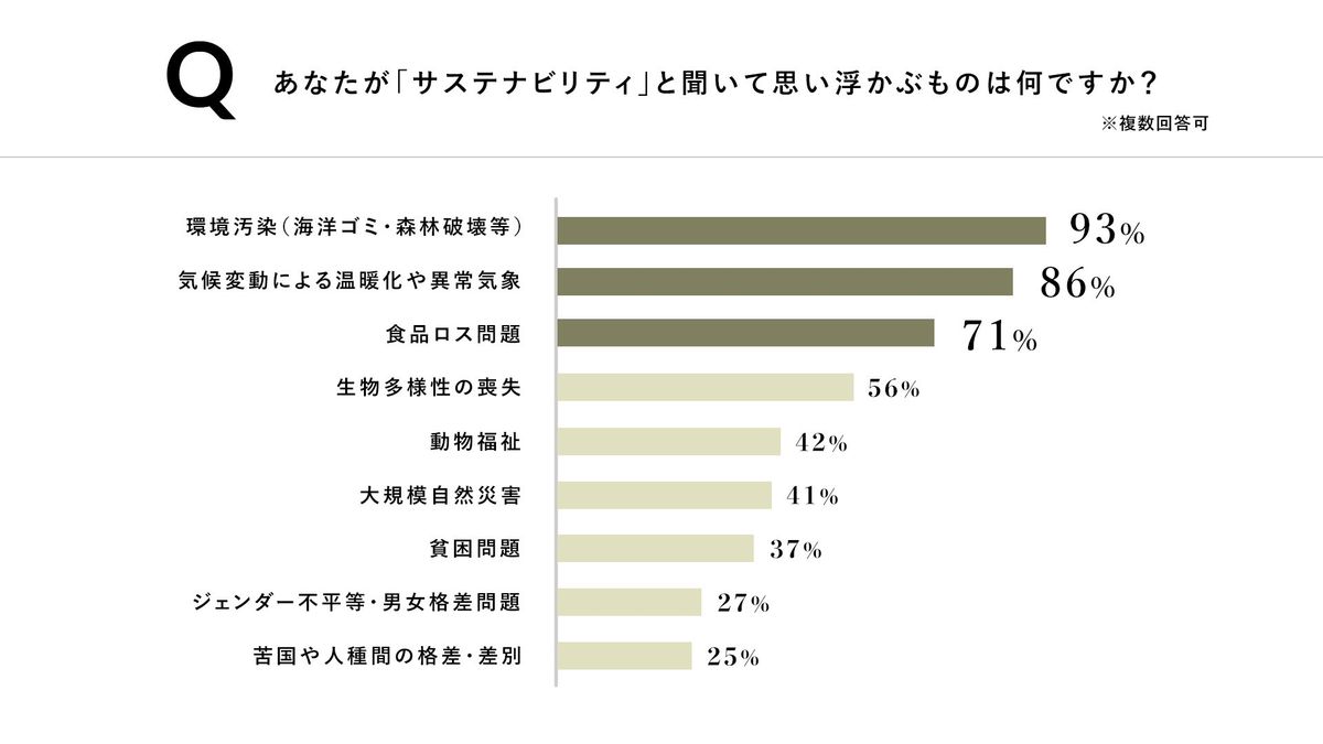 サステナビリティと聞いて思い浮かぶもの グラフ