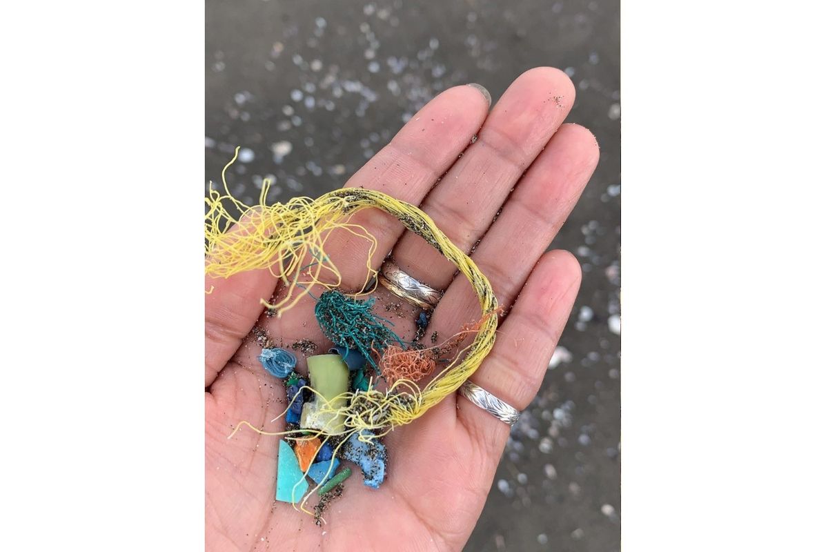 田岡さんの手の平にのせた、ビーチに落ちていたごみ