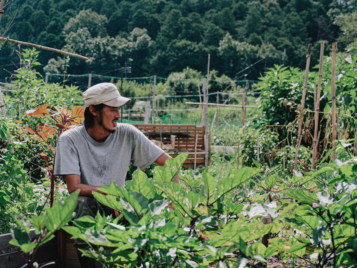 畑仕事をする男性