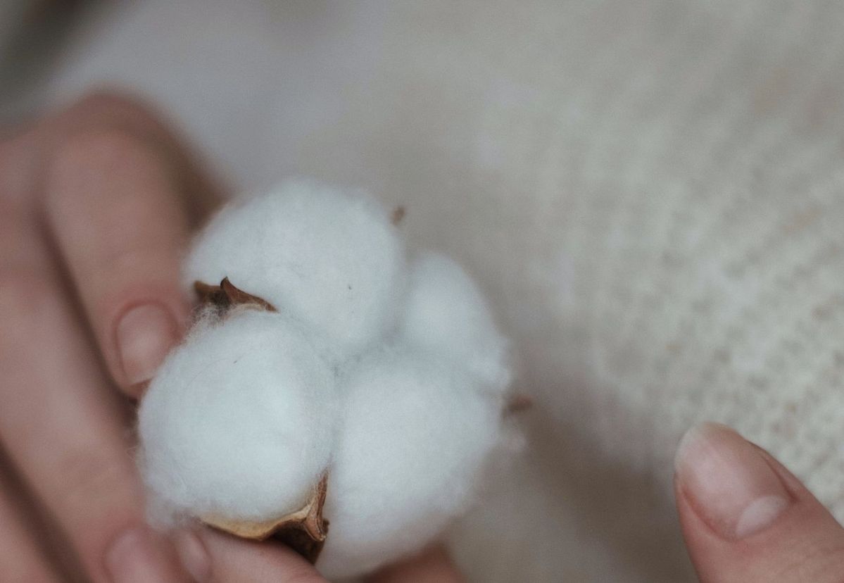 人や地球にやさしいオーガニックコットン