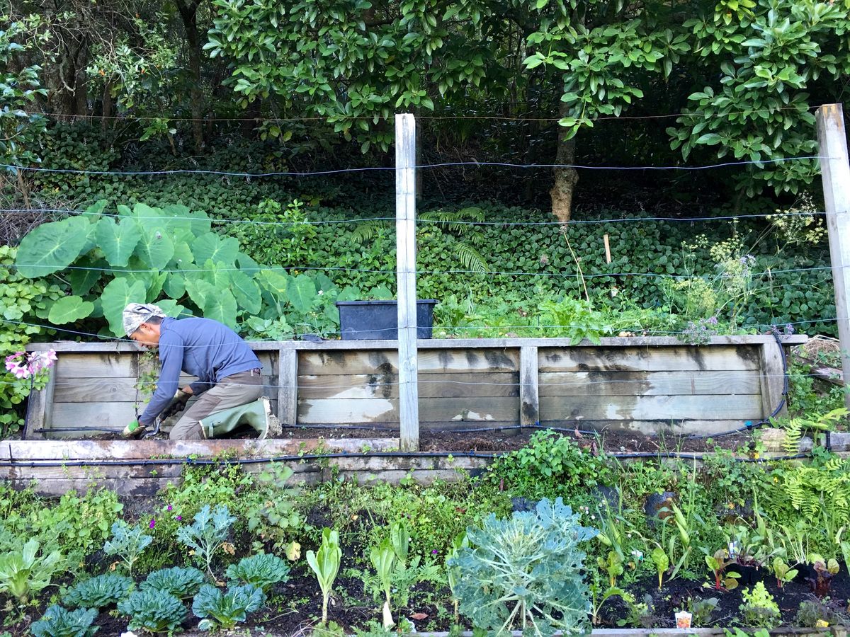 ニュージーランドの畑の写真