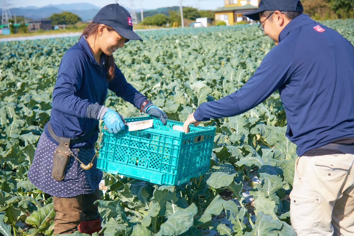 イオンアグリ日高農場の農場長と副農場長
