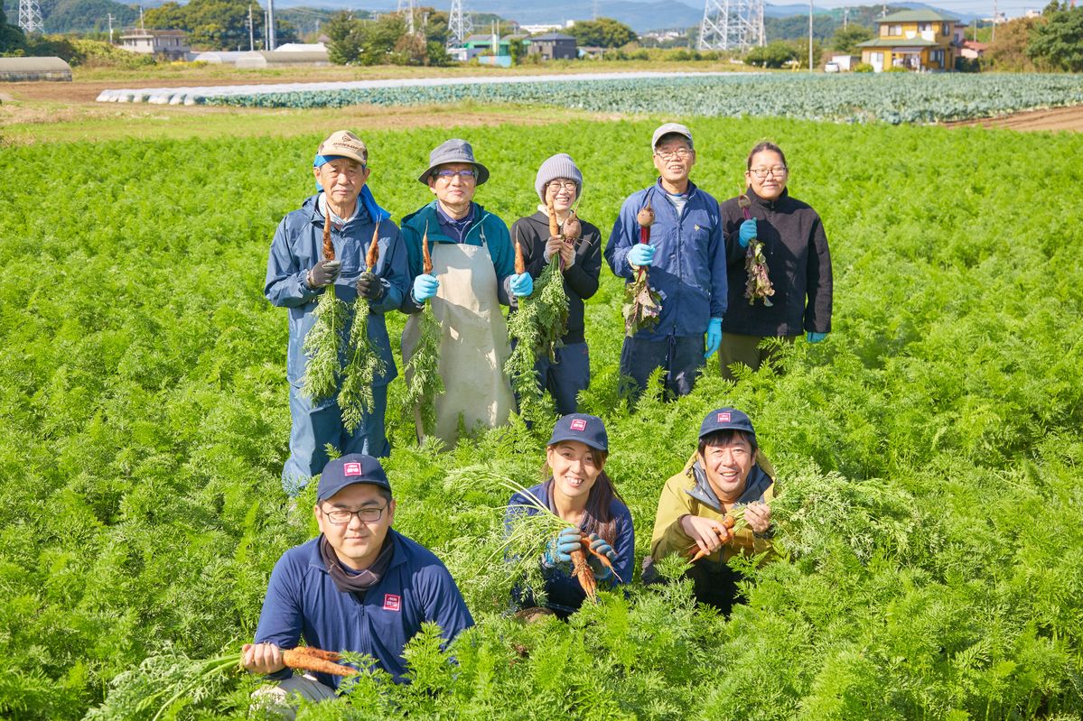 イオンアグリ日高農場のにんじん畑