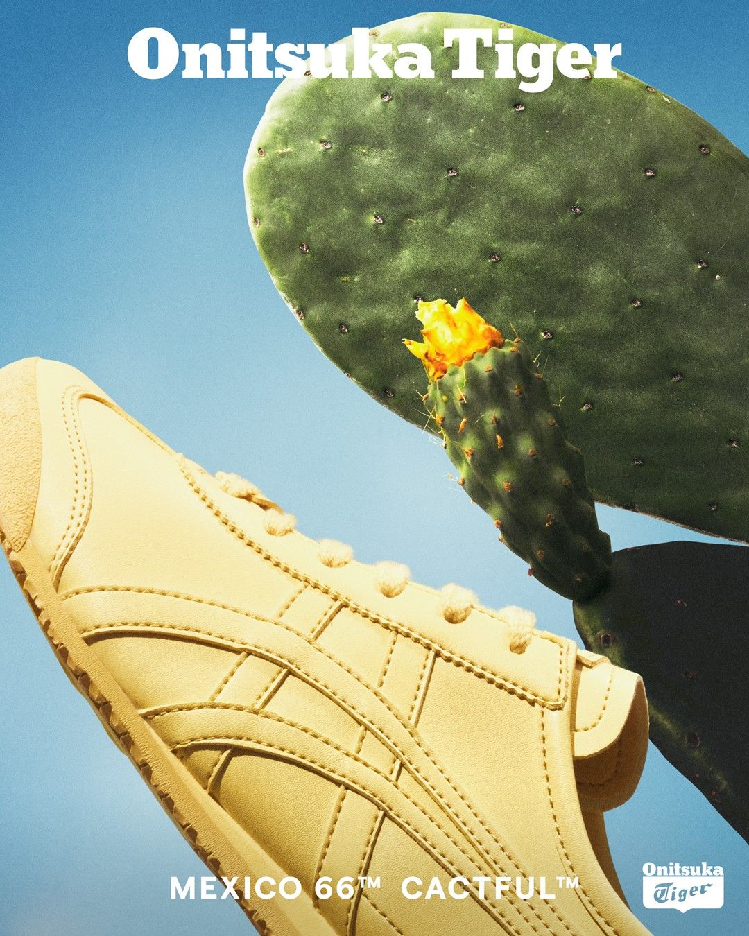 イエローのスニーカーとサボテン