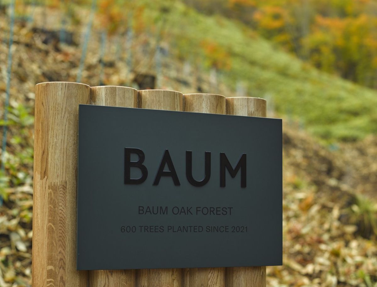「BAUMの森」