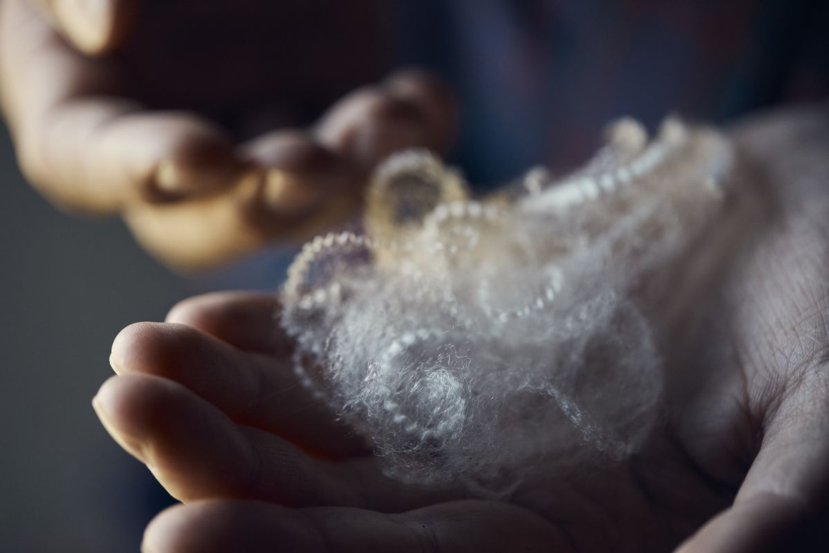 手に乗せたウール