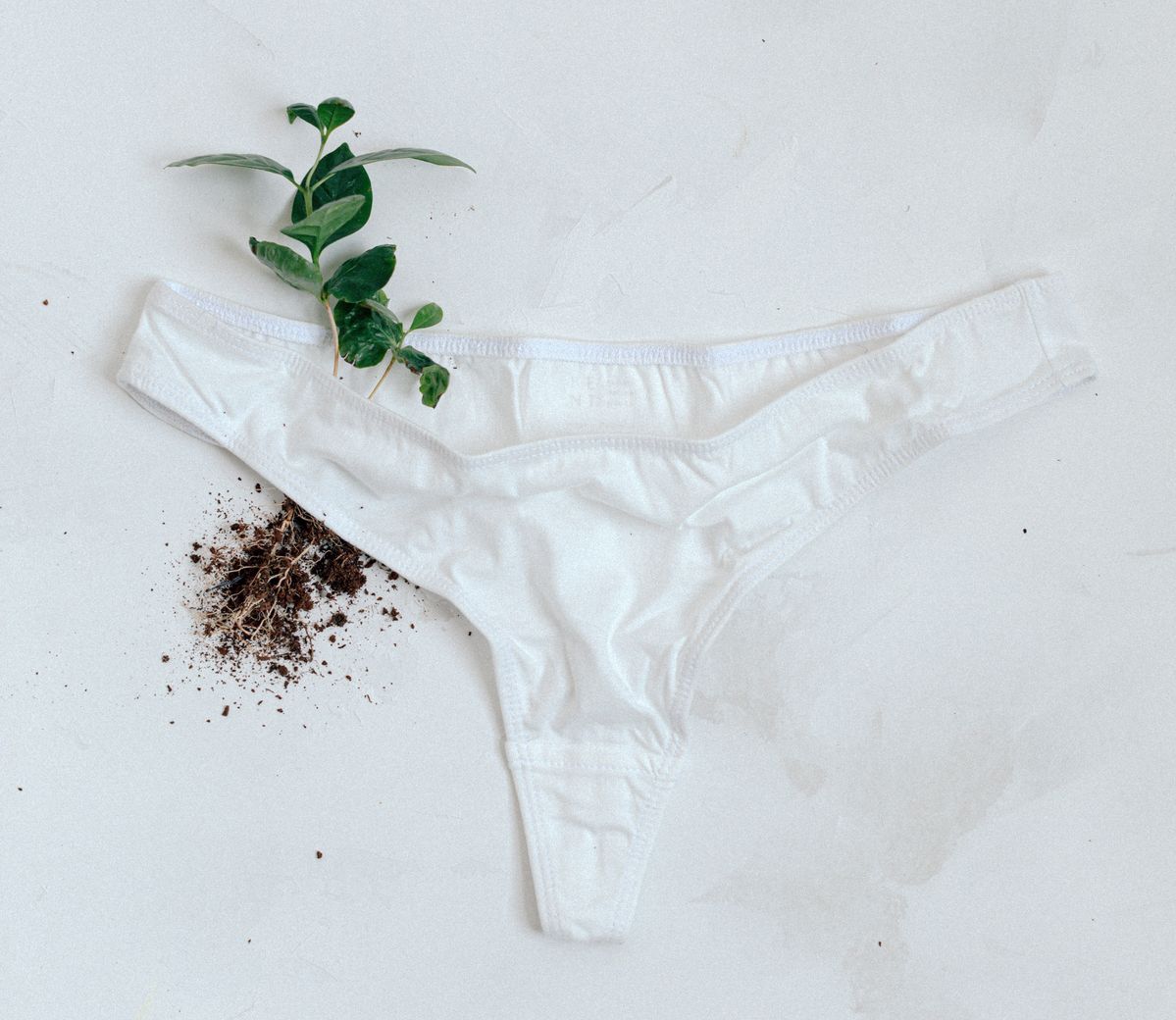 着古した下着を堆肥化する、約90日で土に還る「LA発のブランドKENT」