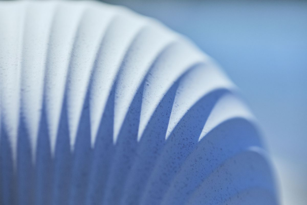 ホタテ貝のリブ構造