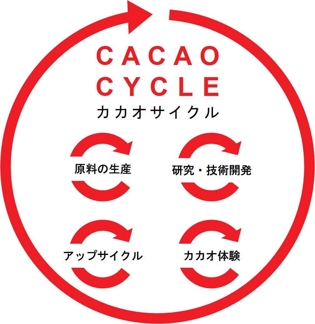 カカオサイクルの図