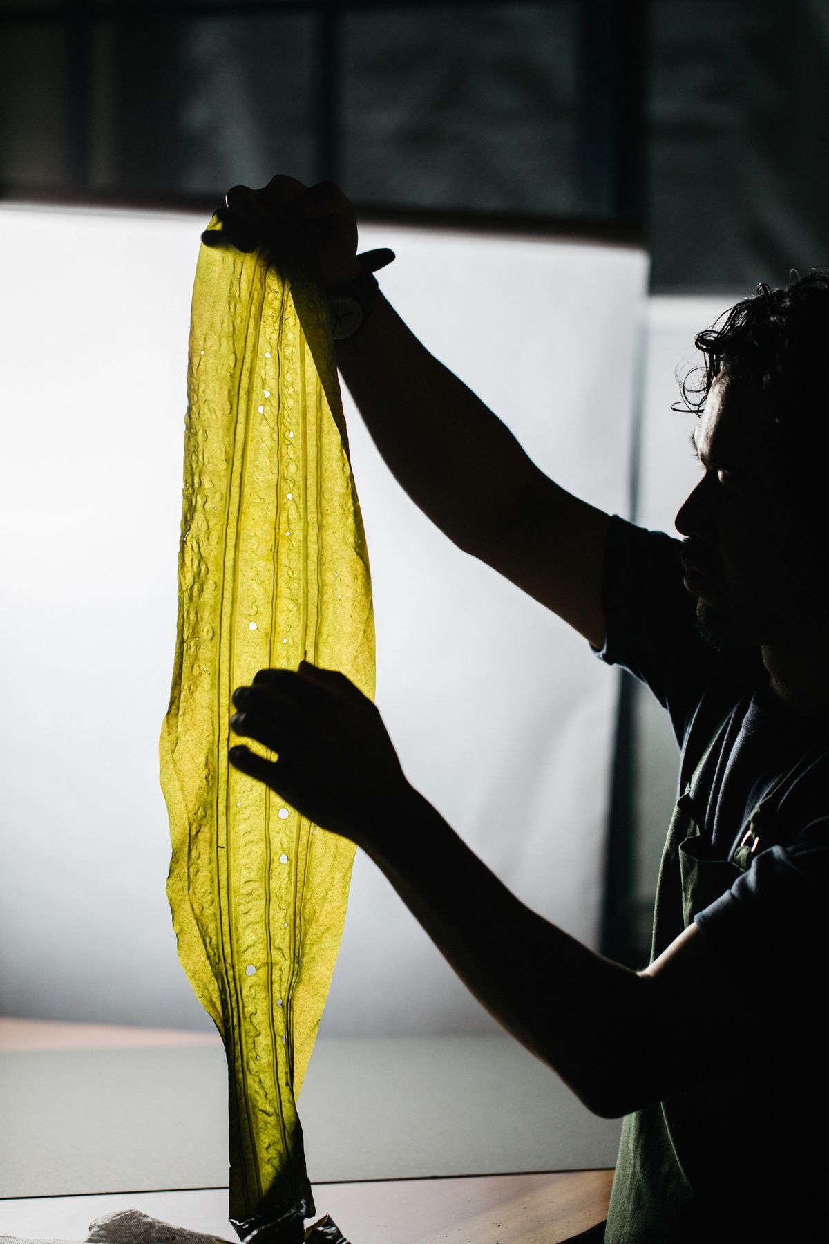 海藻を手にする石坂秀威氏