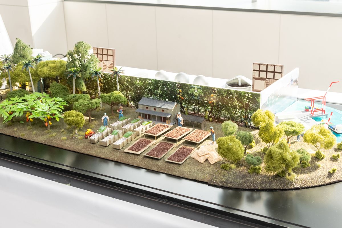 ひらけ、カカオ