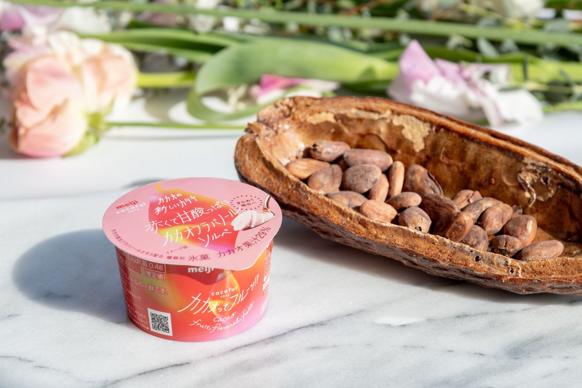 カカオフラバノールソルベ