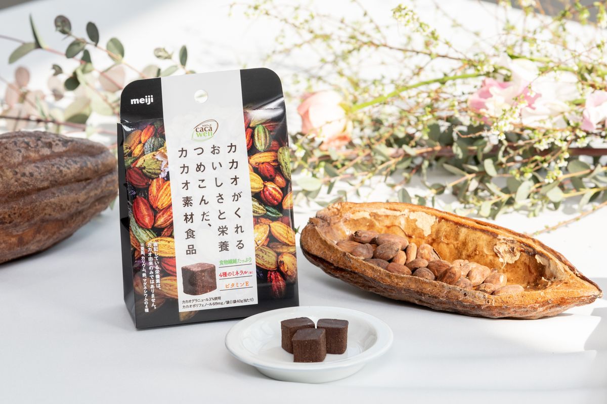 カカウェル カカオがくれるおいしさと栄養 つめ込んだ、カカオ素材食品