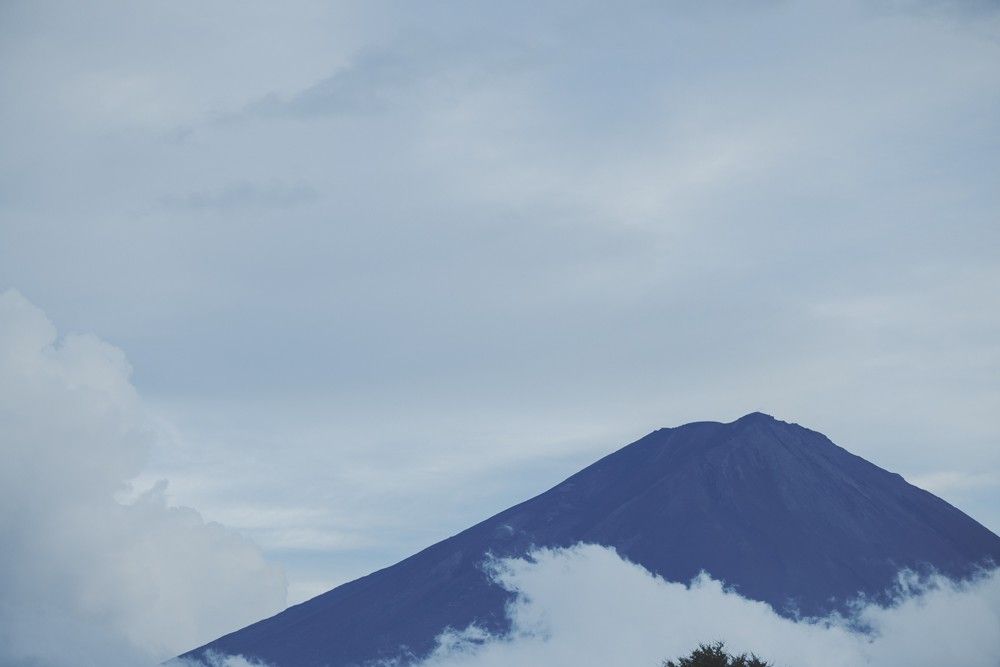 富士山