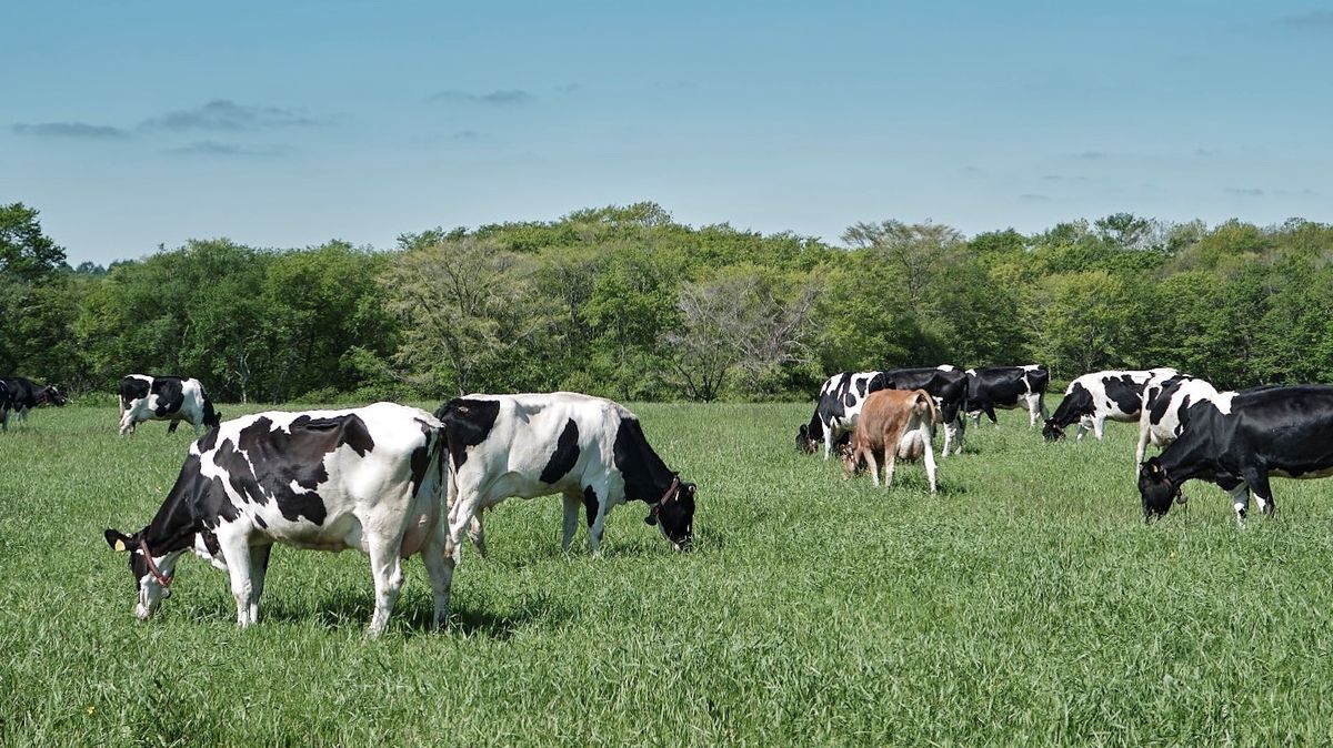 別海ウェルネスファーム