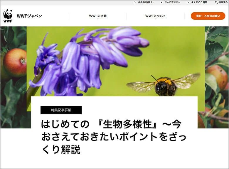 特設ページ“はじめての「生物多様性」”