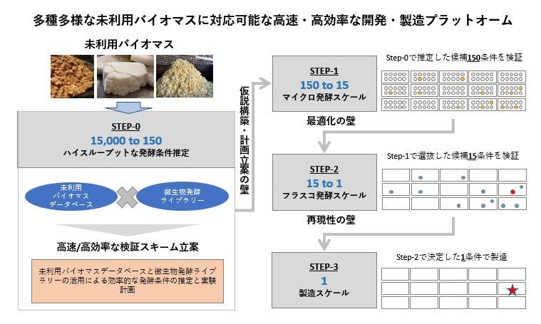未利用バイオマスに対応可能な開発プラットフォーム