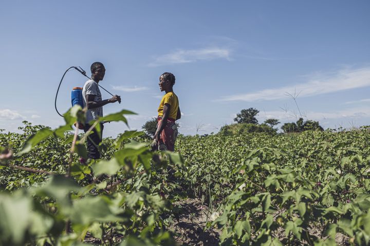 ロンハーマン」消費者と農家をつなぐfarmers 360° linkに参画し試作