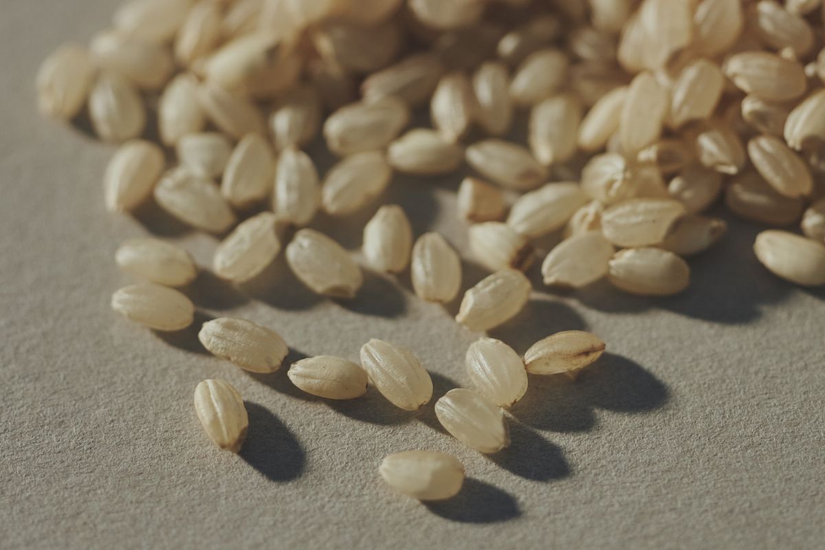 セルヴォークの『カーム』ラインに配合されている独自原料ウメコメ発酵エキスのもととなるオーガニック玄米