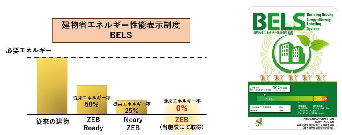 BELS評価のグラフ