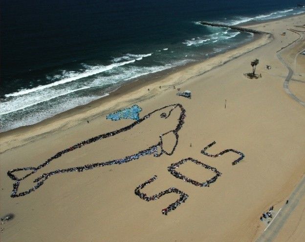 ビーチ体験で自然とつながる教育プログラム「キッズオーシャンデー」