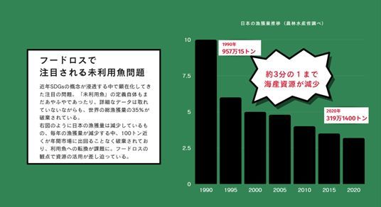 漁獲量のグラフ