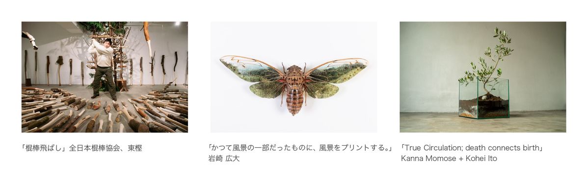 展示される作品