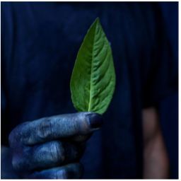 BUAISOUのイメージビジュアル