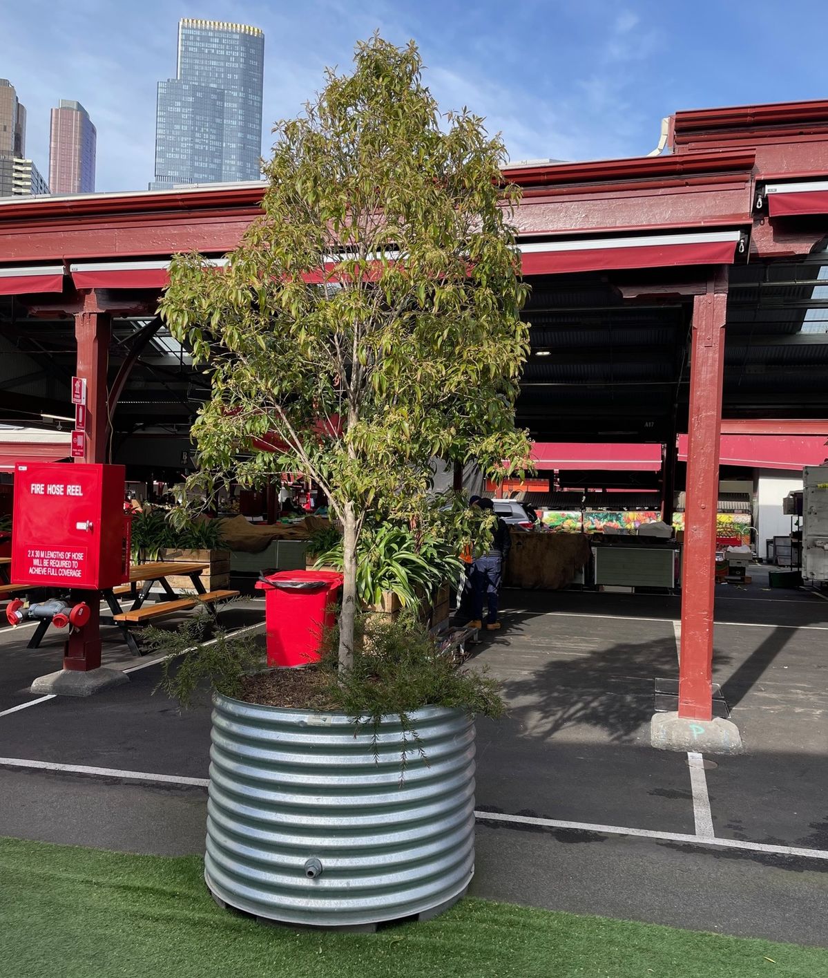 オーストラリア「クイーン・ビクトリア・マーケット」のコンポストでできた堆肥が使われる植木