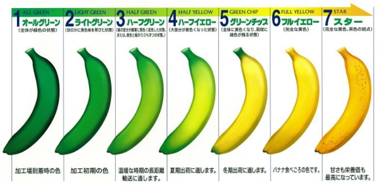 Doleグリーンバナナ