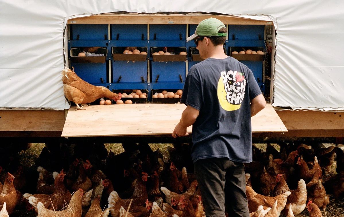 アーティストのダン・コーレンが始めた「スカイハイファーム」