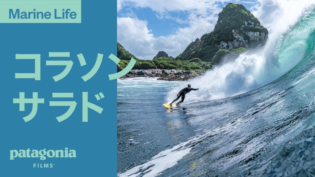 コラソン サラドビジュアル