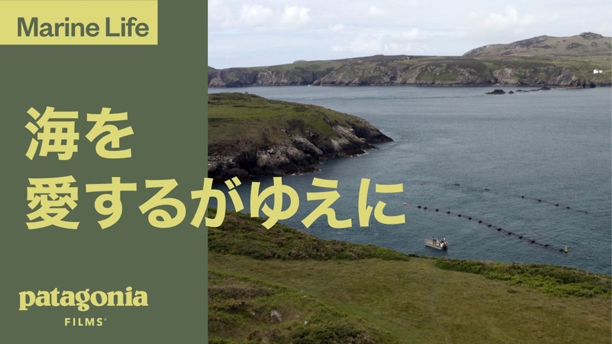 海を愛するがゆえにビジュアル
