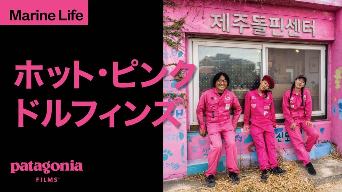 ホット・ピンク・ドルフィンズビジュアル