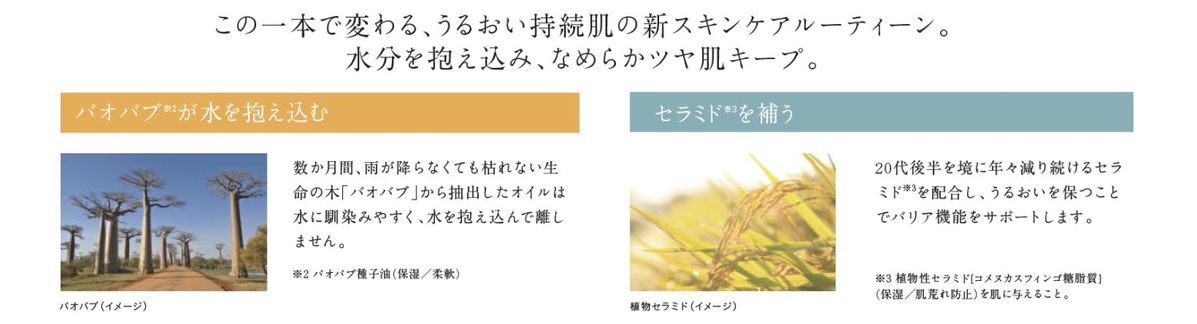 保湿効果について