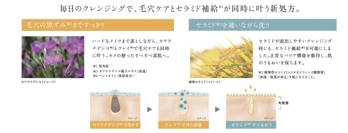 黒ずみ除去の図解