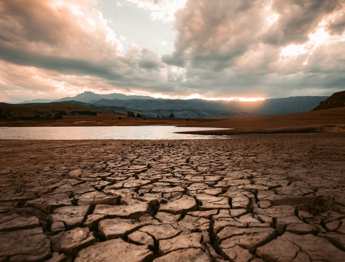 猛暑が続いて干ばつが起きている様子