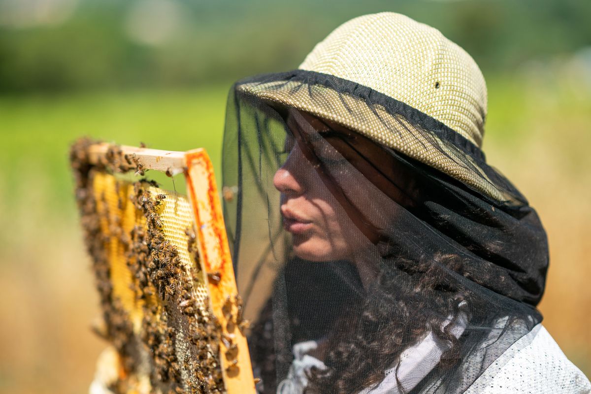 女性養蜂家を育てる、ゲランの「Women for Bees（ウーマン・フォー・ビー）」プログラムの様子