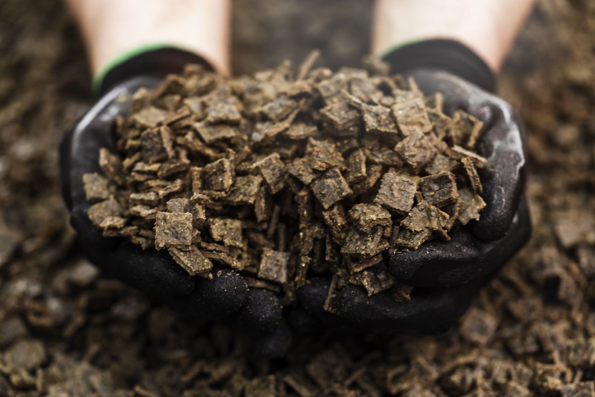 フードをすくった様子