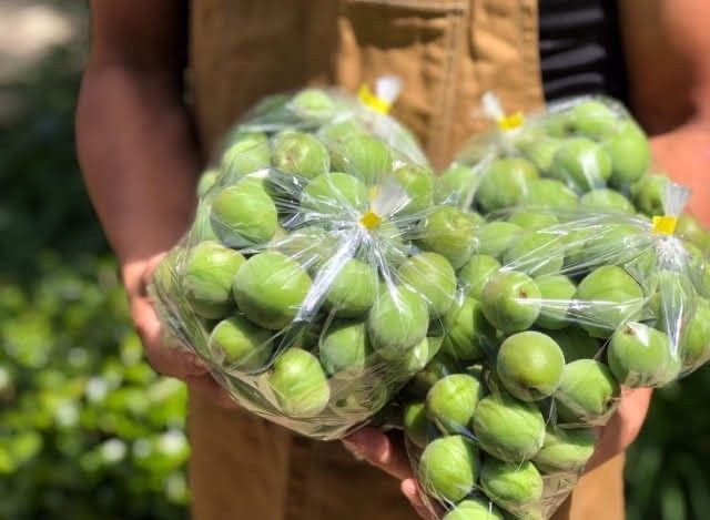 檀上氏がつくる梅