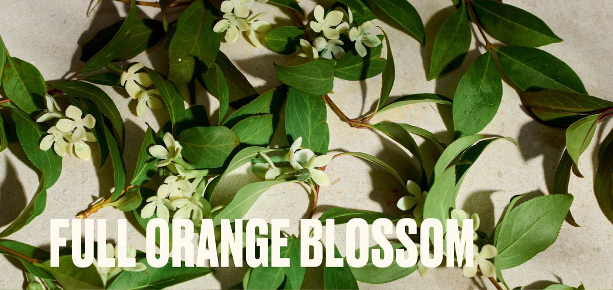 オレンジブロッサム オードパルファムイメージ