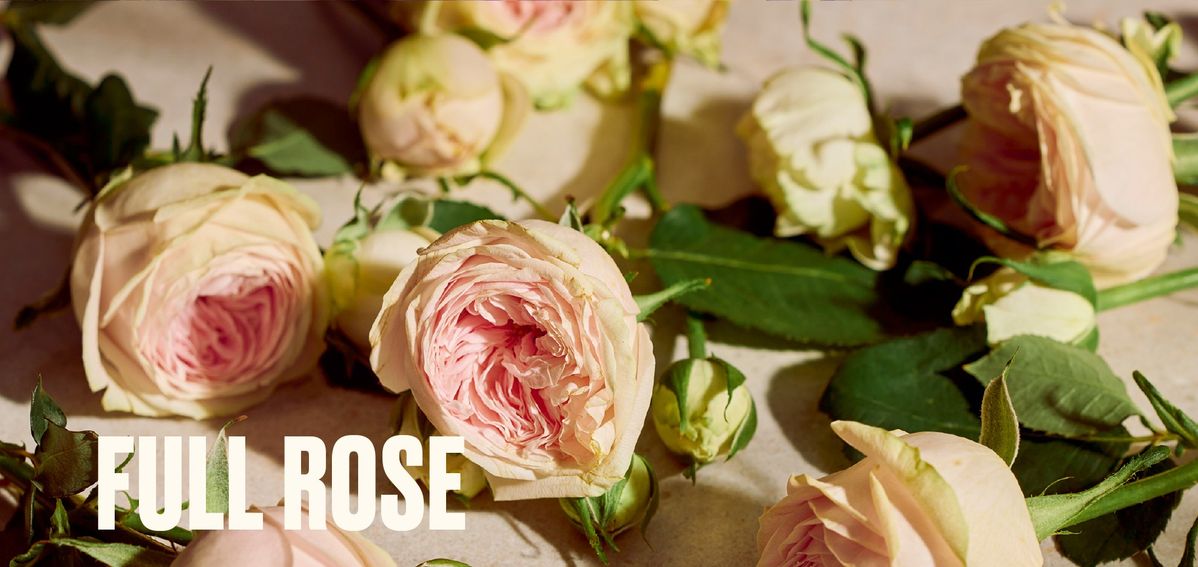 ローズ オードパルファムイメージ