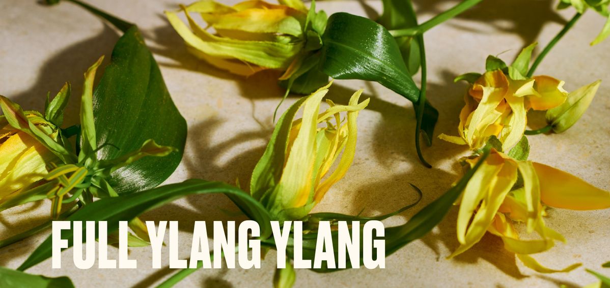 イランイラン オードパルファムイメージ