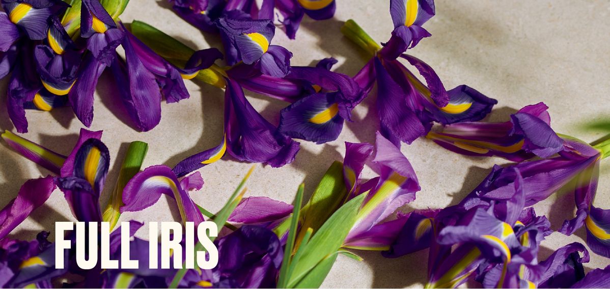 アイリス オードパルファムイメージ