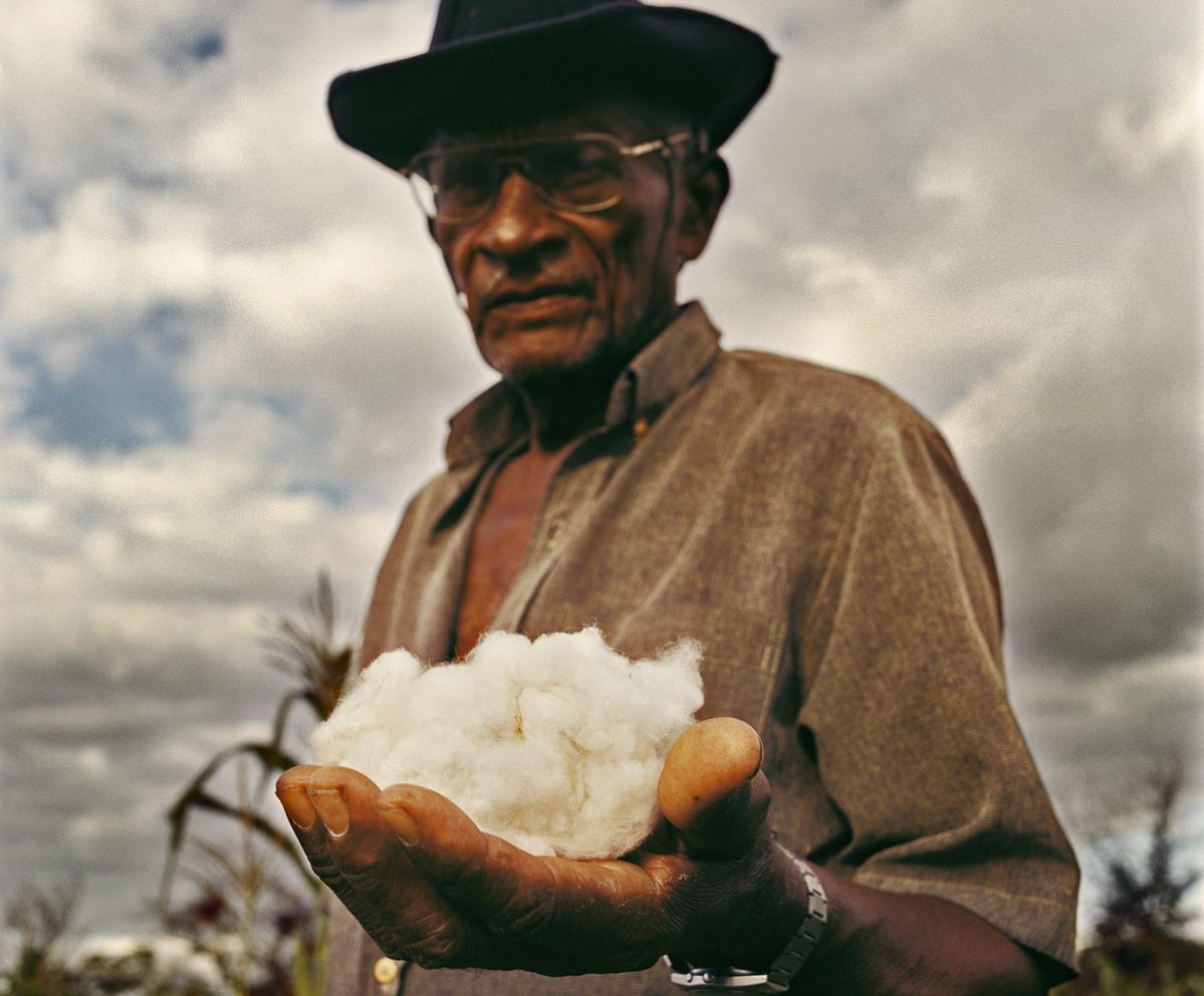 サステナブルなスニーカーブランド「VEJA」で使うオーガニックコットン