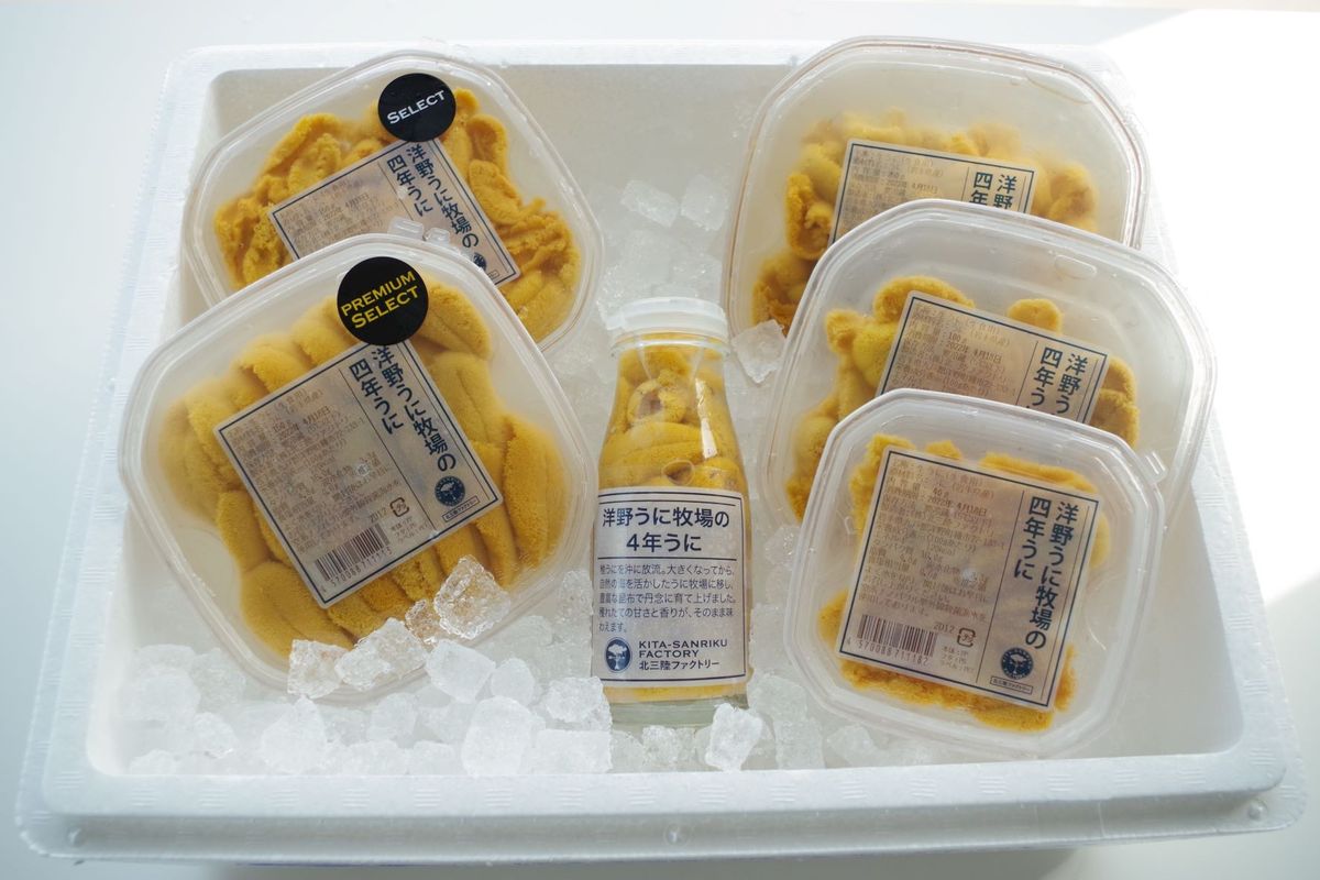 洋野うに牧場の四年うに