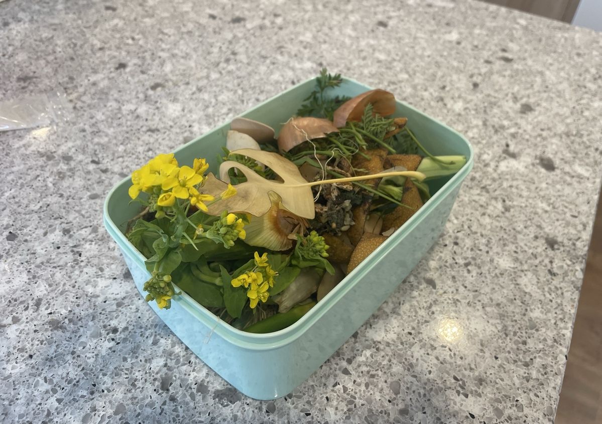 コンポストに入れる生ごみ