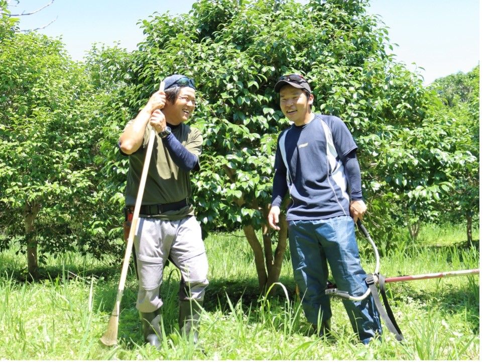 島の椿農園、管理人