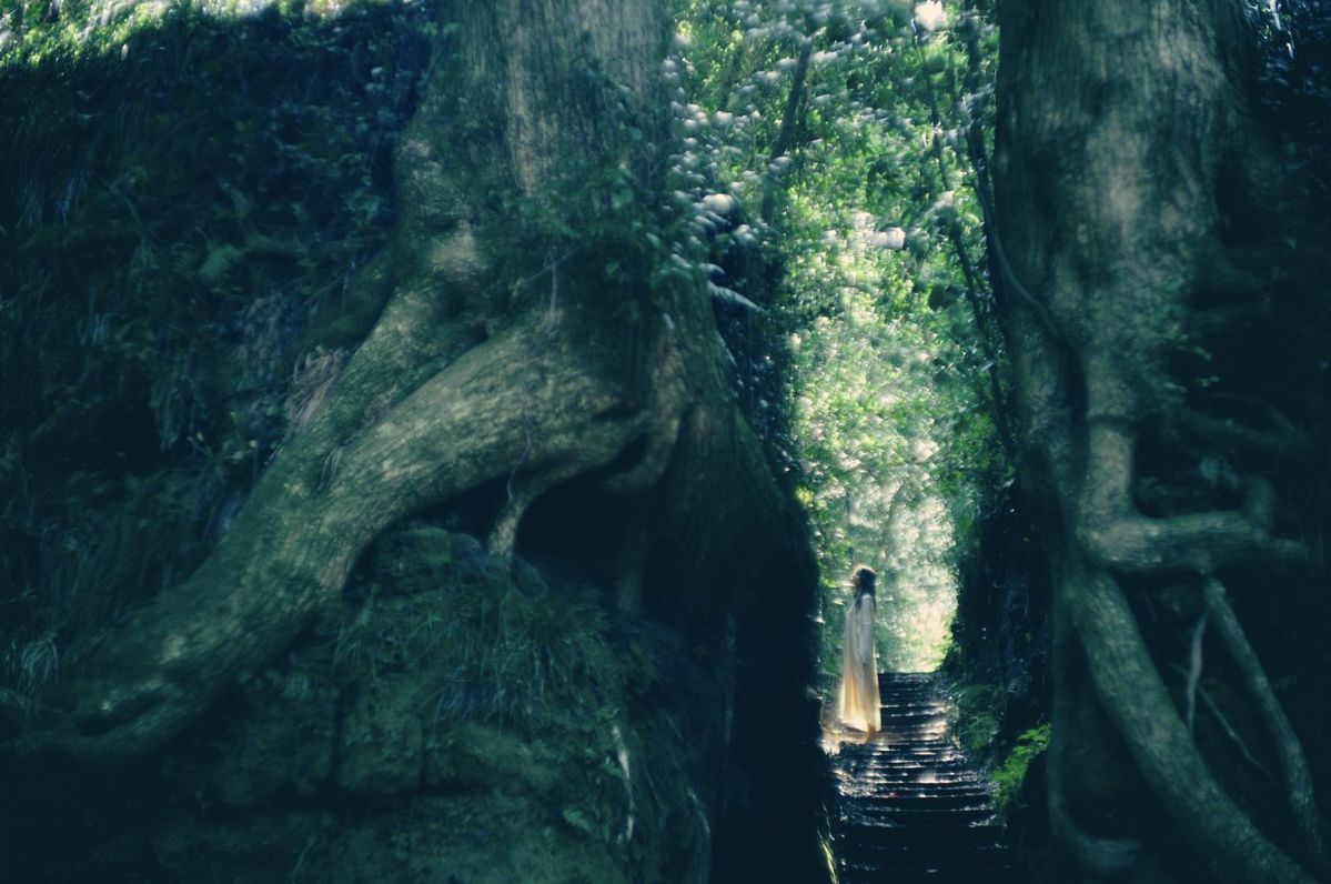 森の中でたたづむ女性