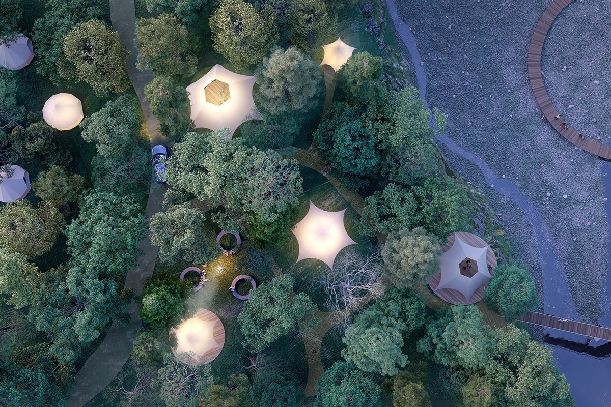 地上から見た様子